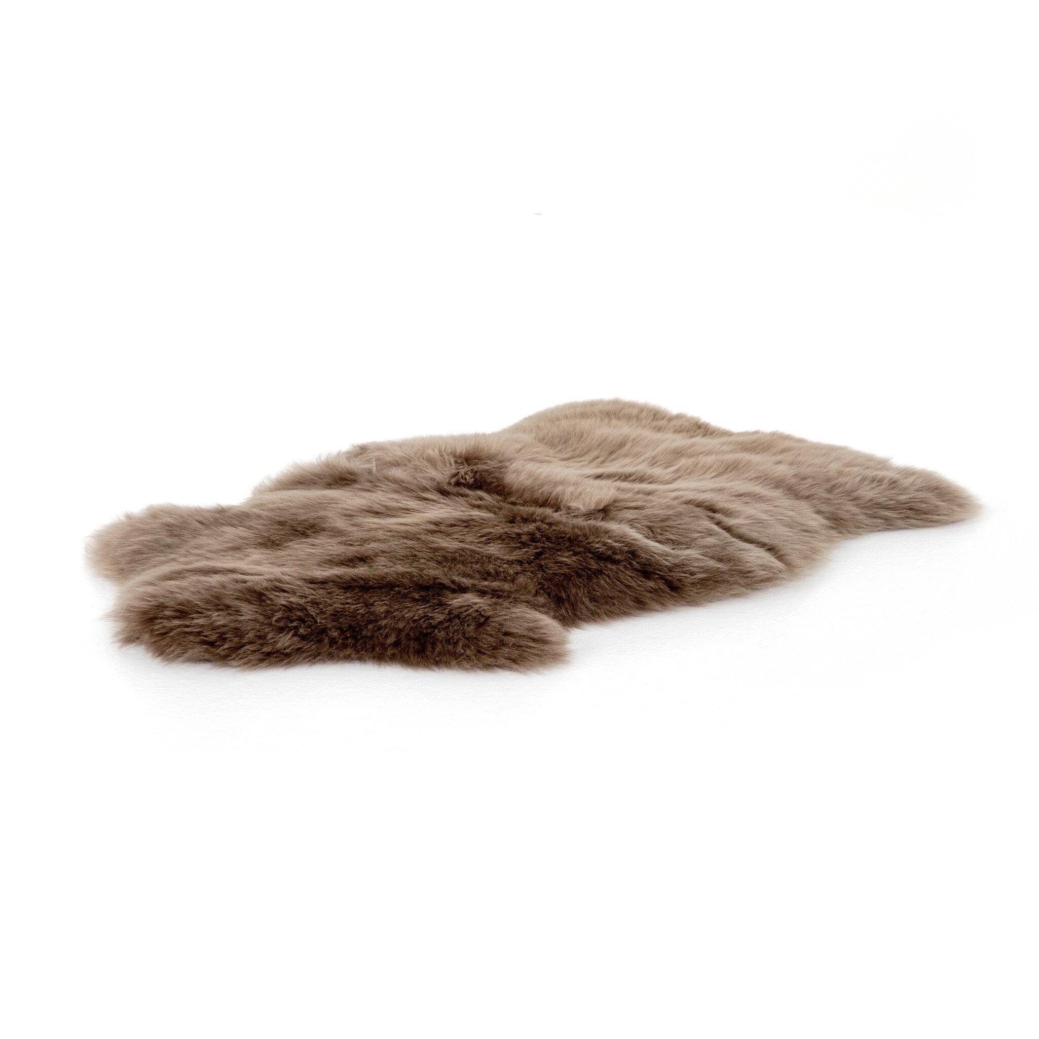 All Rugs