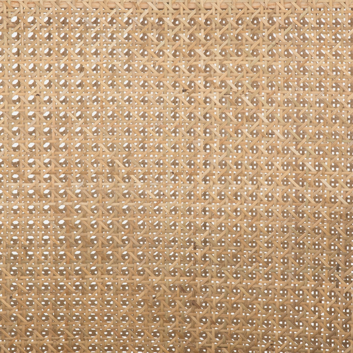 #color_savile-flax