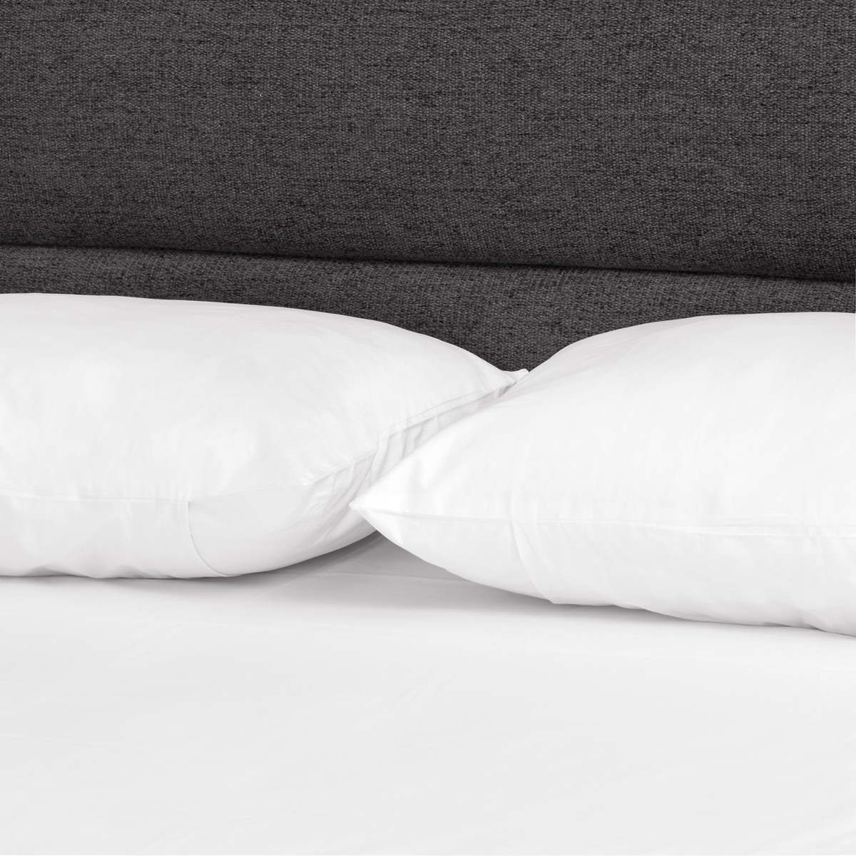 Daphne Bed by Four Hands