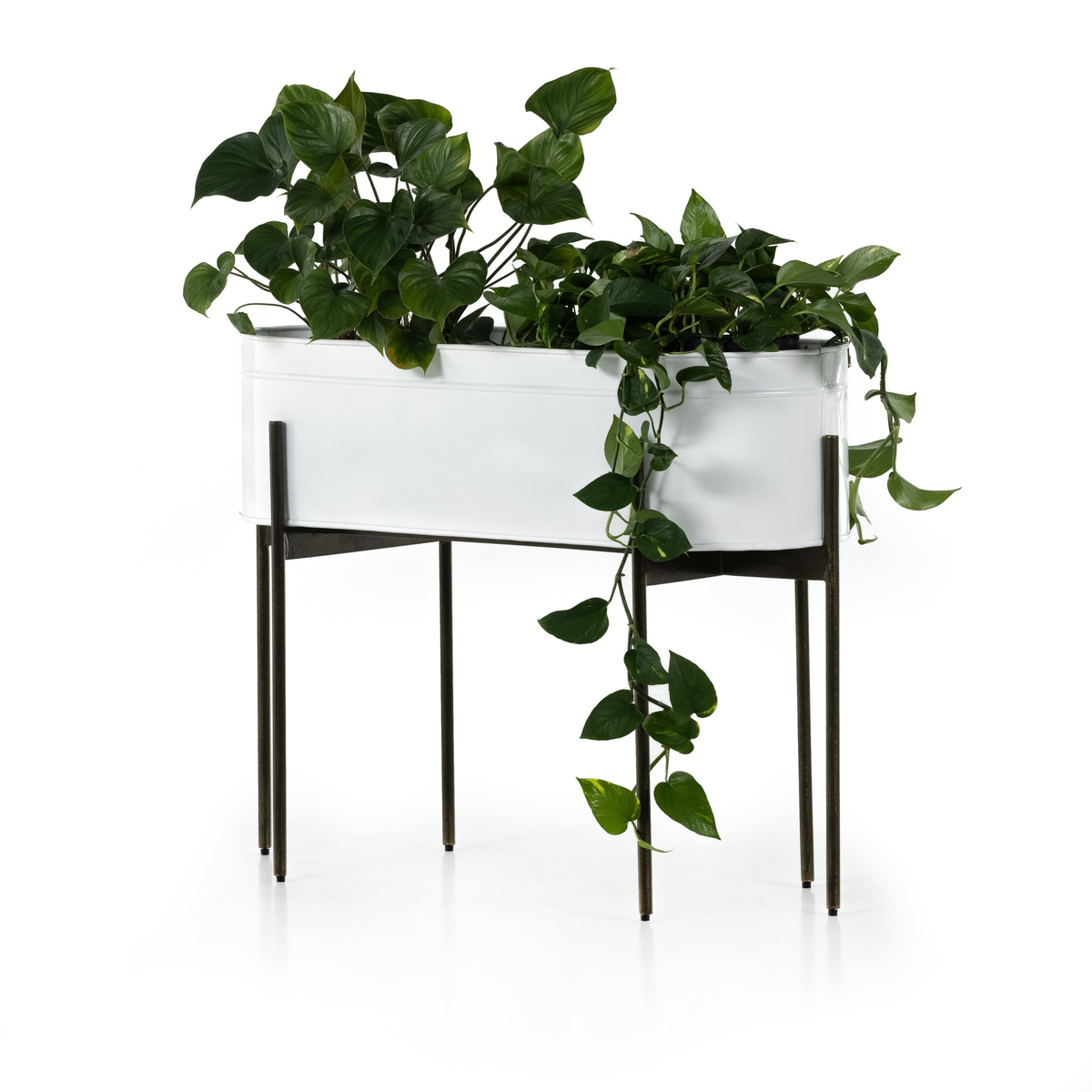 Jed Large Planter by Four Hands