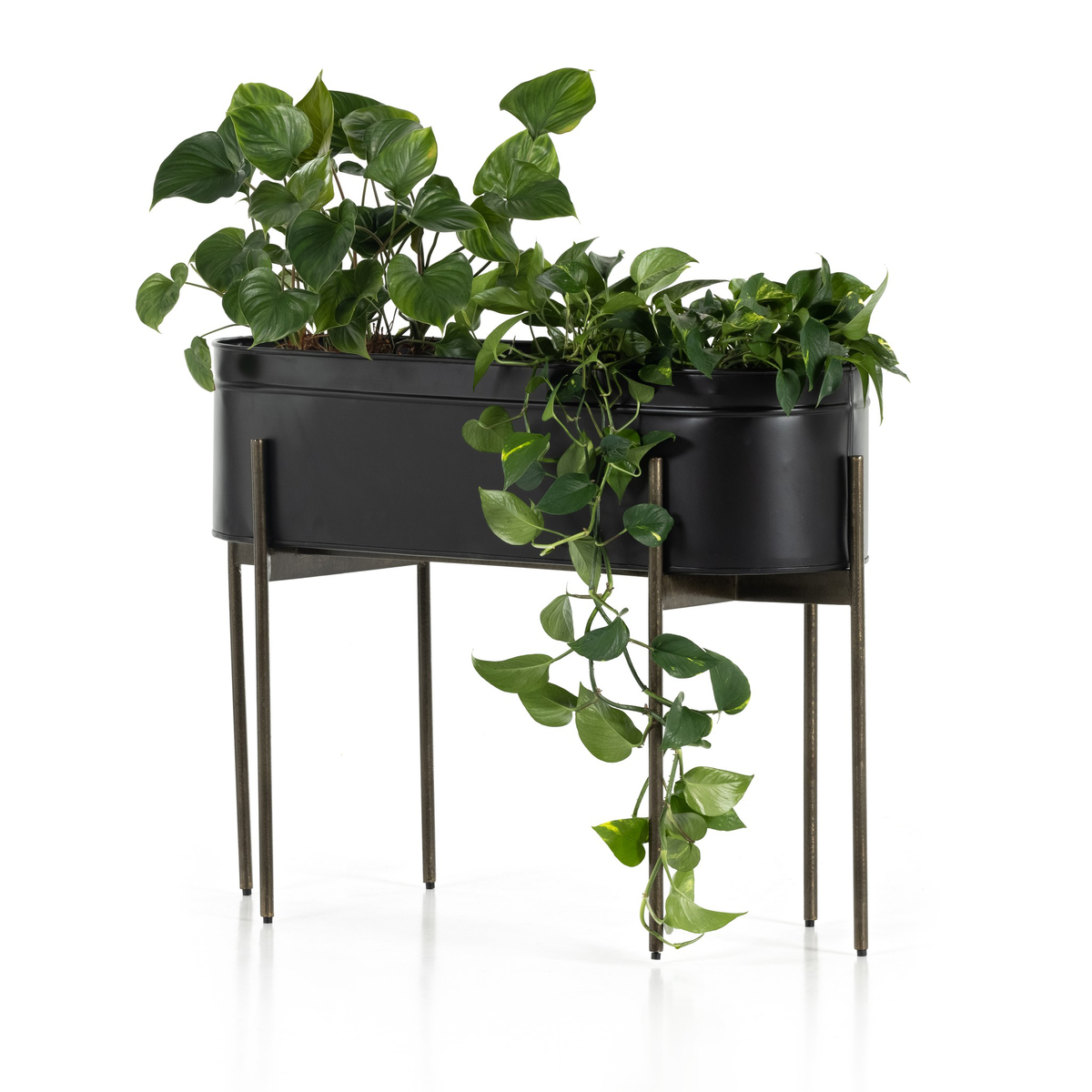 Jed Large Planter by Four Hands