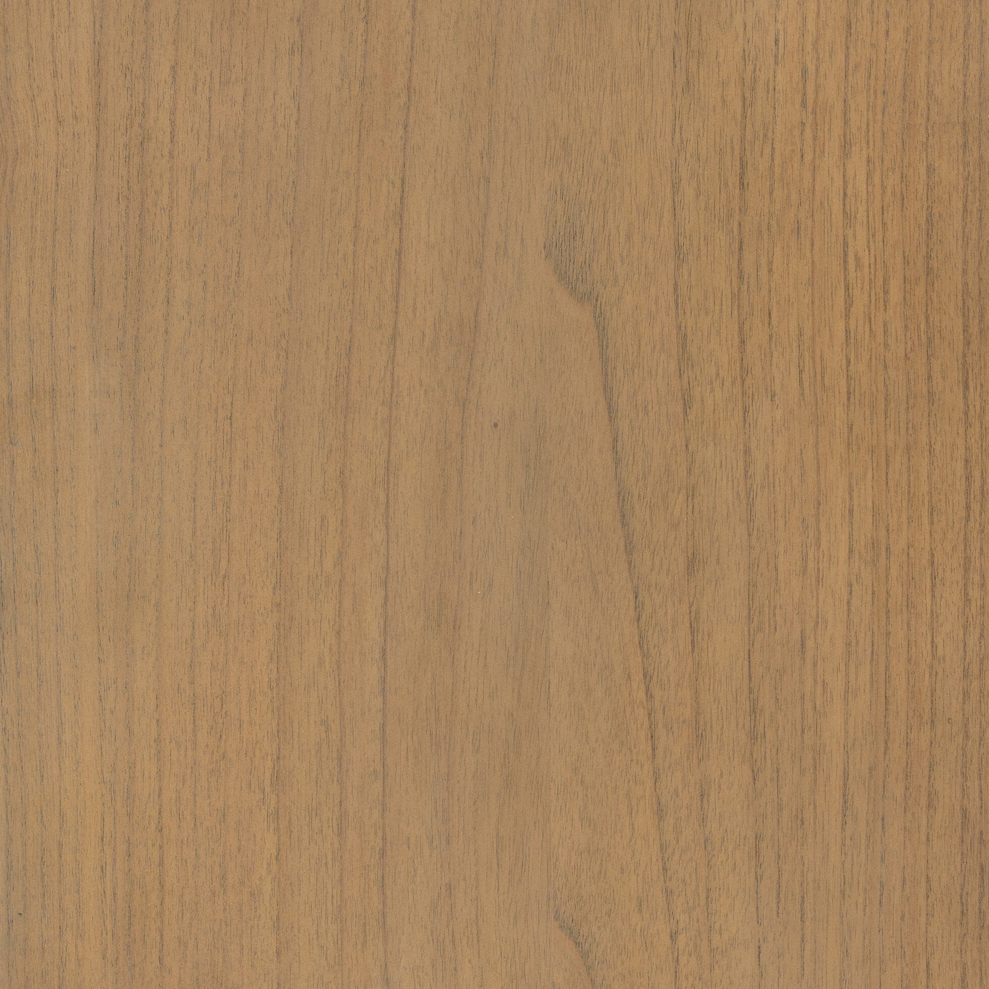 Ilana Cabinet