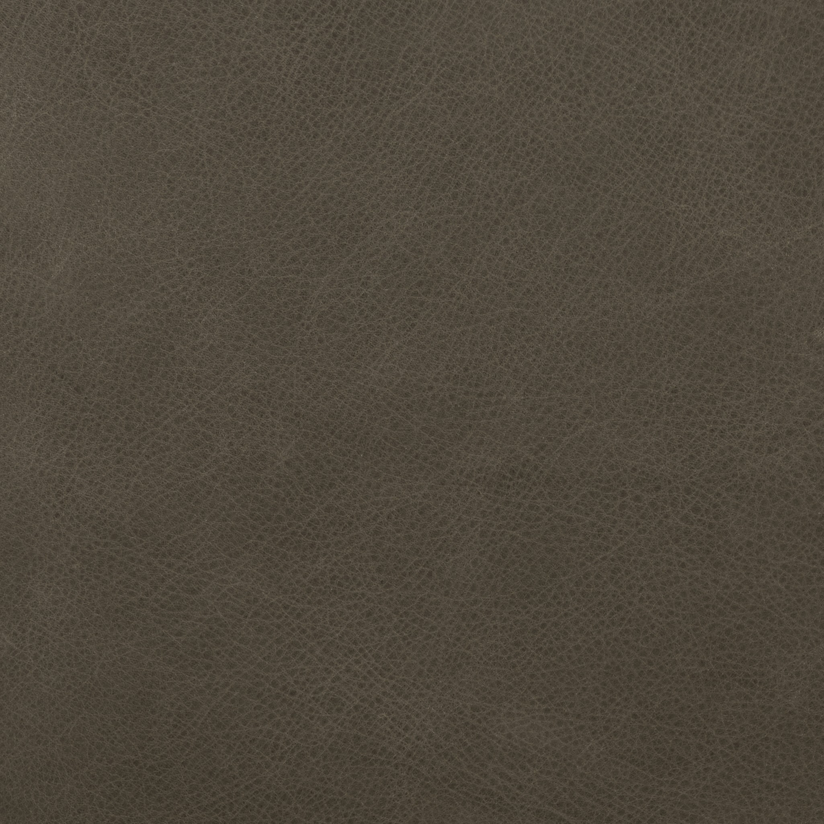 #color_umber-pewter