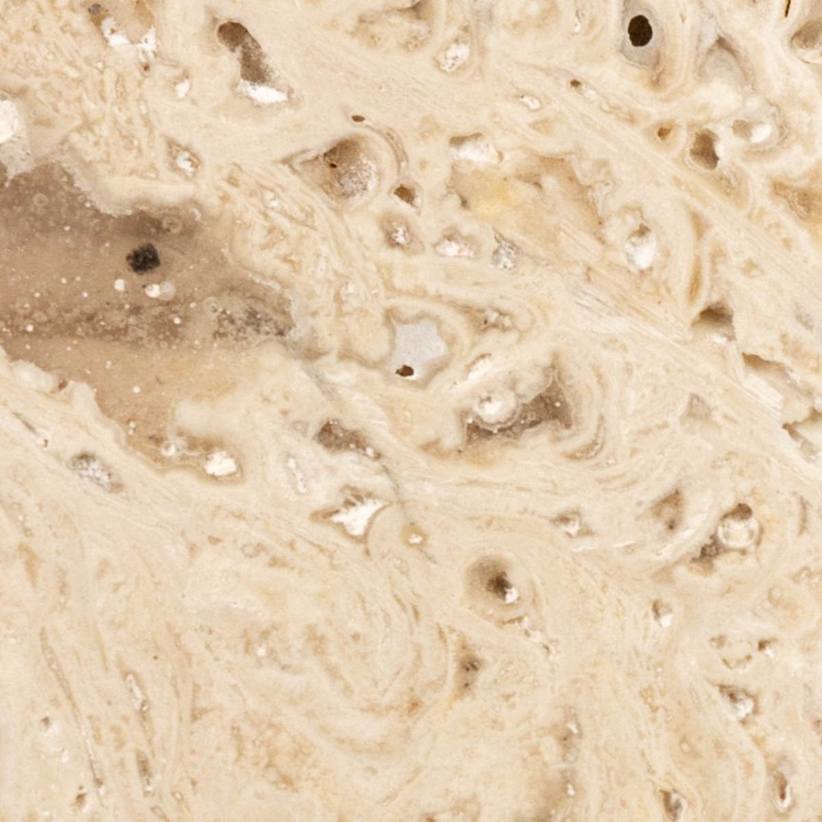 #color_white-travertine