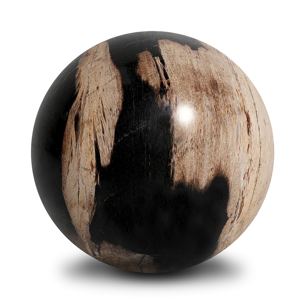 #color_dark-petrified-wood