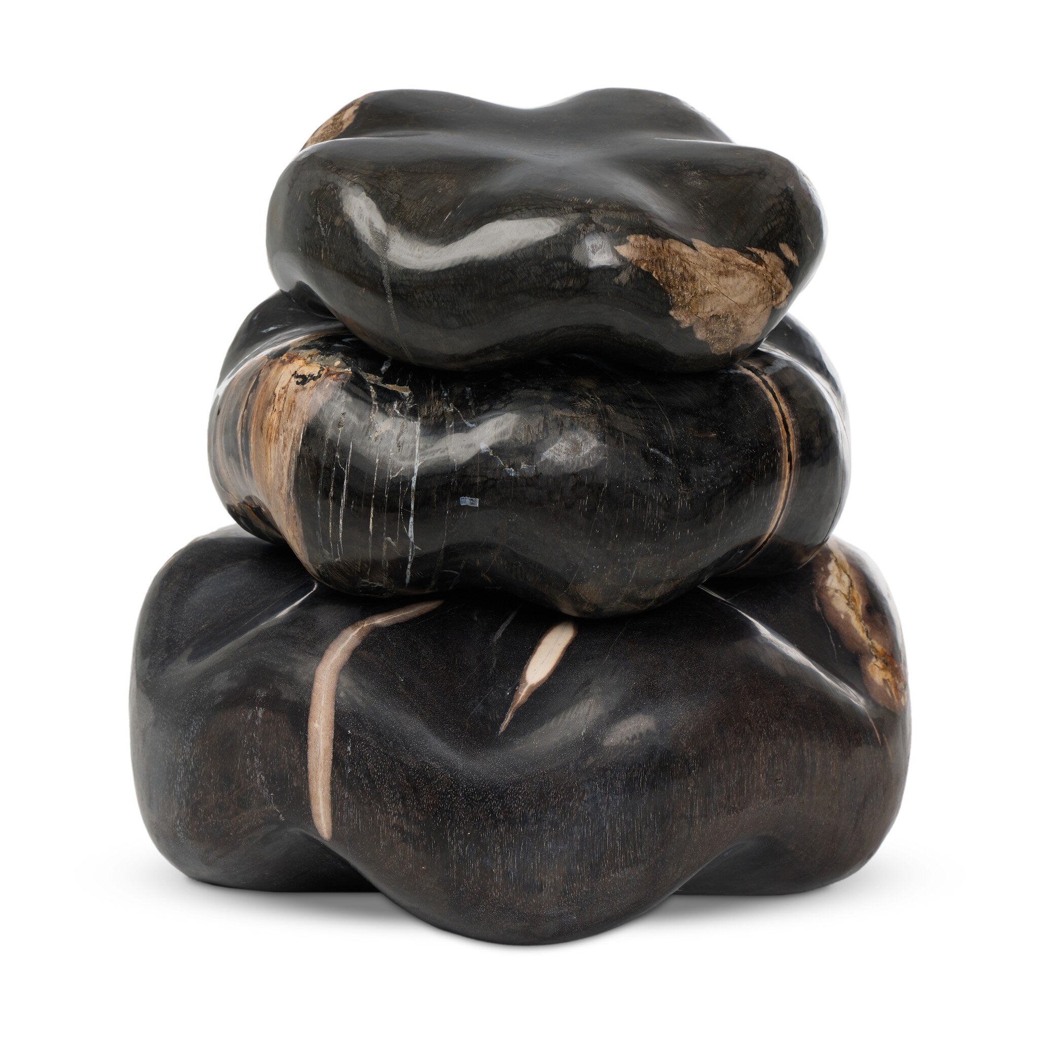 Petrified Wood Organic Sculpture, Set Of 3