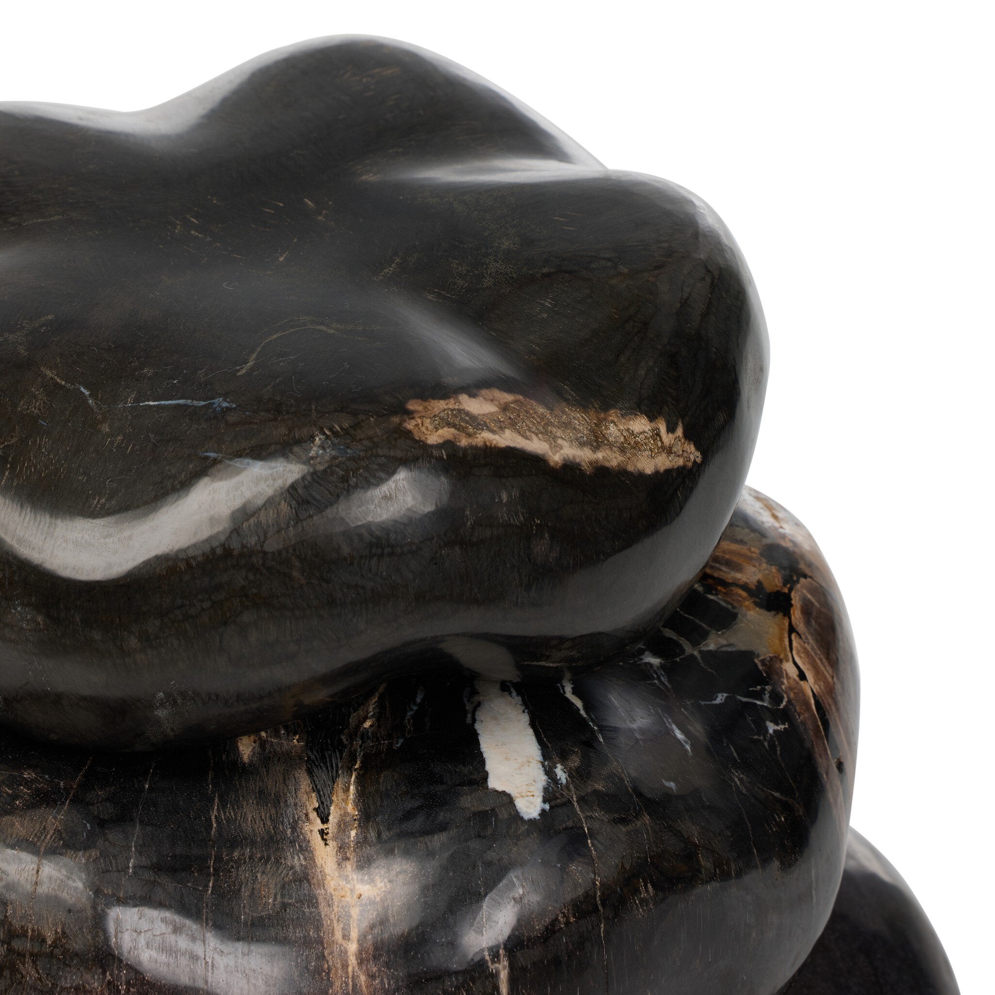 Petrified Wood Organic Sculpture, Set Of 3