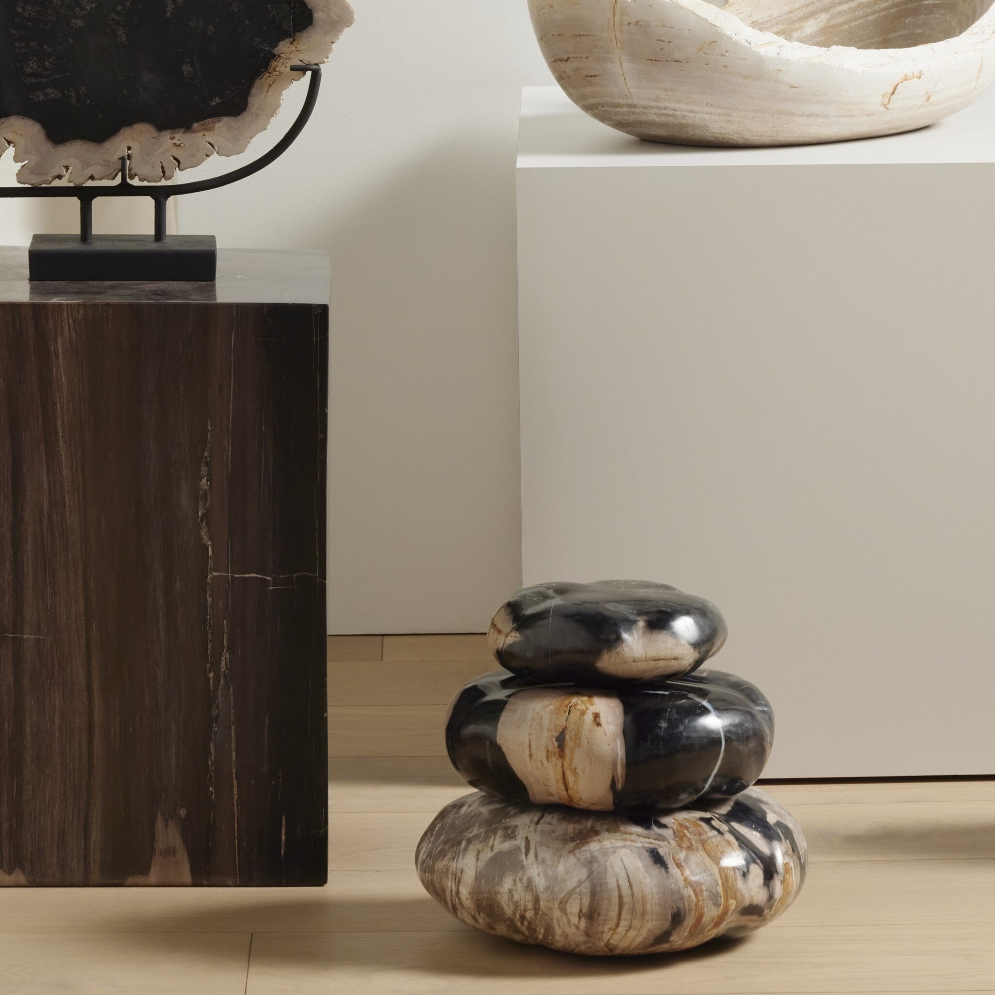 Petrified Wood Organic Sculpture, Set Of 3