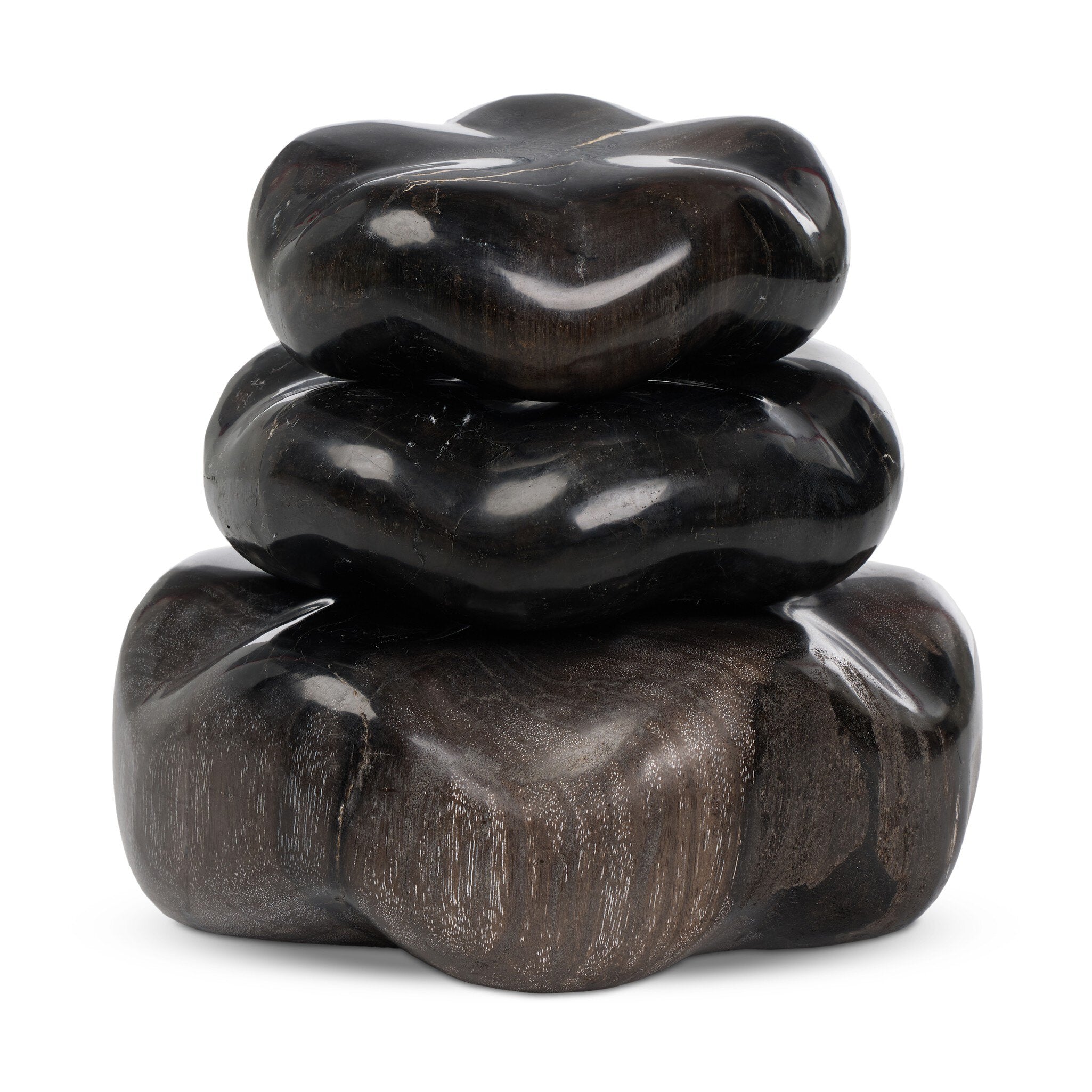 Petrified Wood Organic Sculpture, Set Of 3