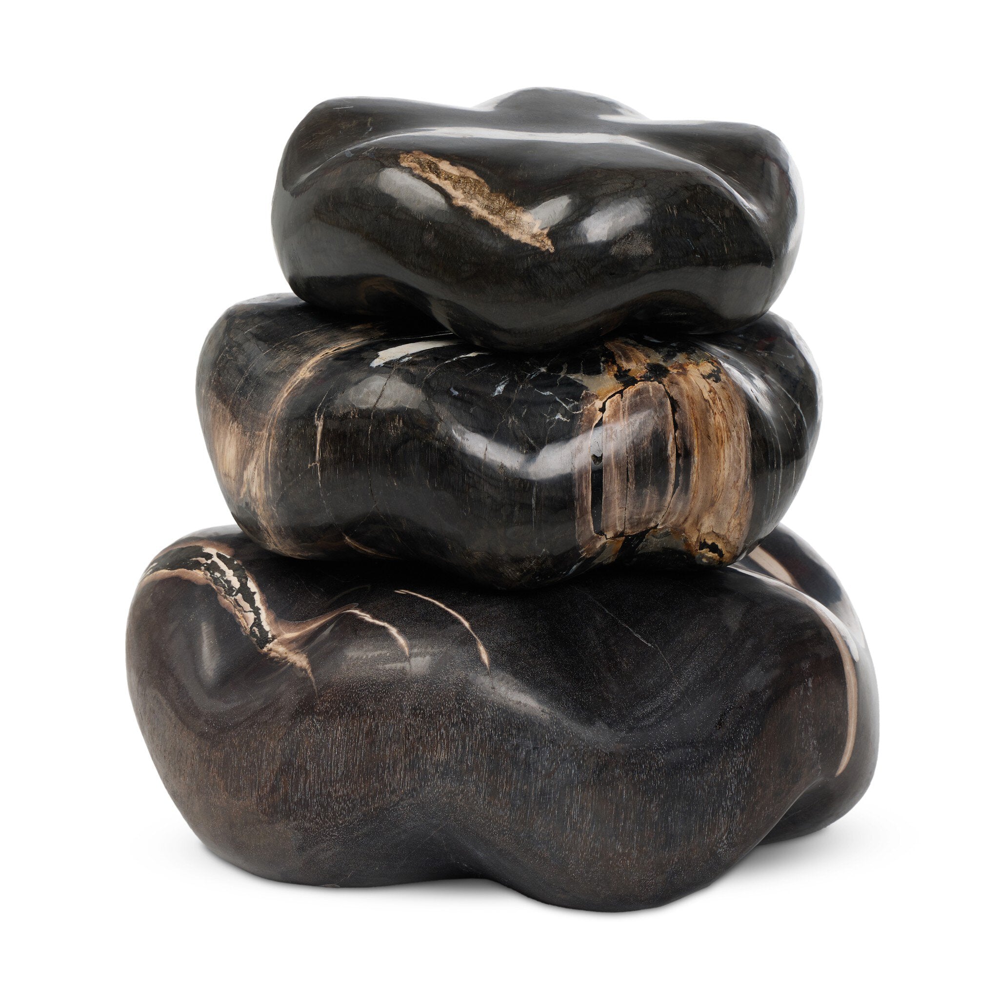 Petrified Wood Organic Sculpture, Set Of 3