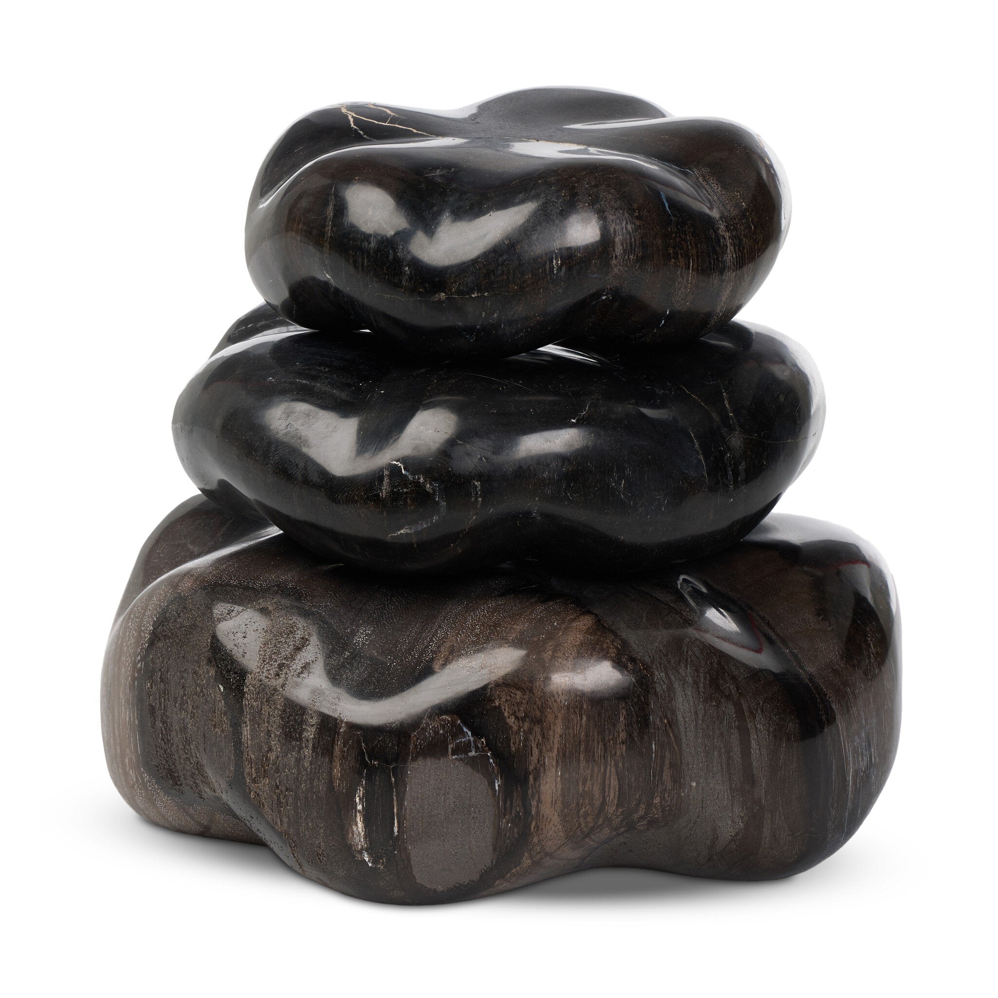 Petrified Wood Organic Sculpture, Set Of 3