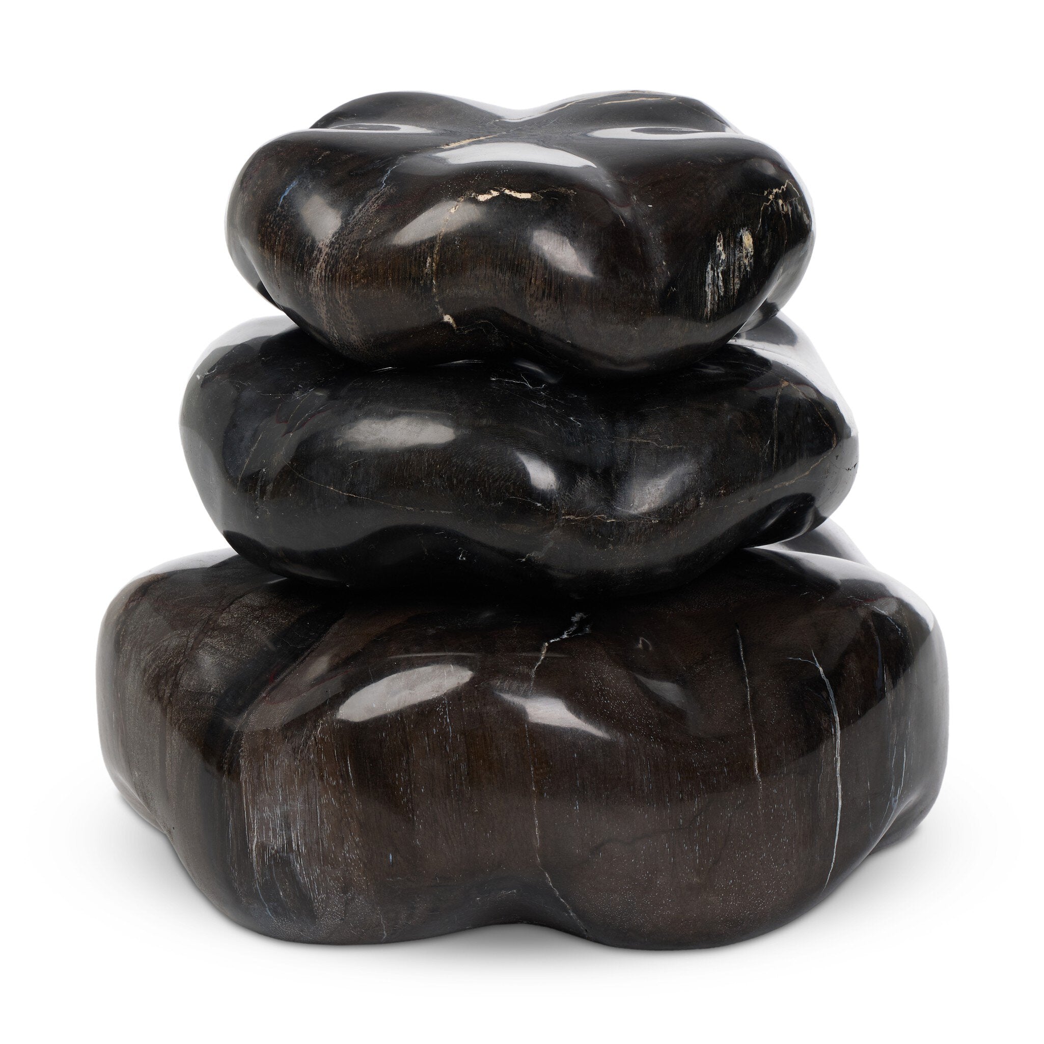 Petrified Wood Organic Sculpture, Set Of 3