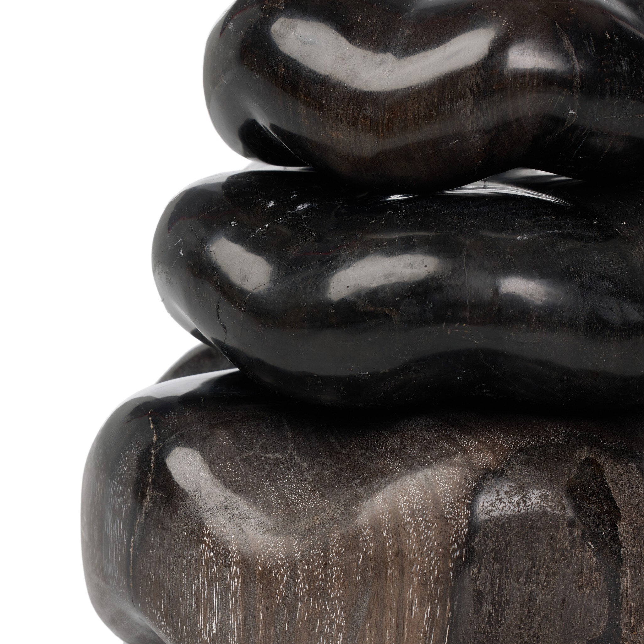 Petrified Wood Organic Sculpture, Set Of 3