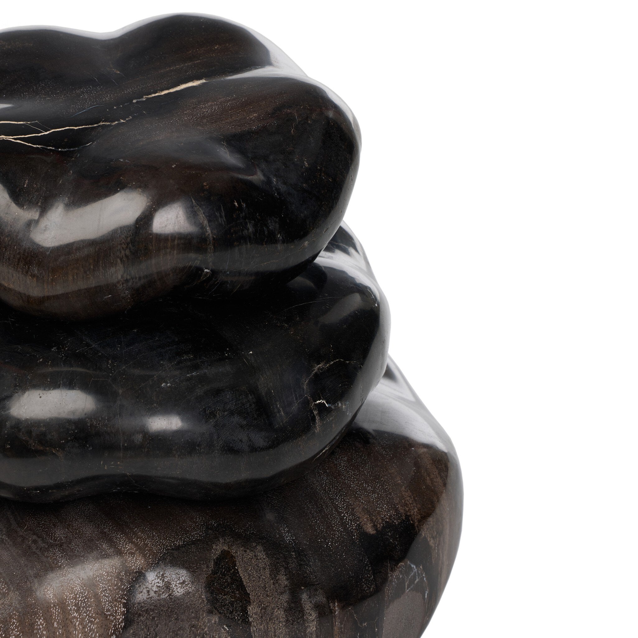Petrified Wood Organic Sculpture, Set Of 3