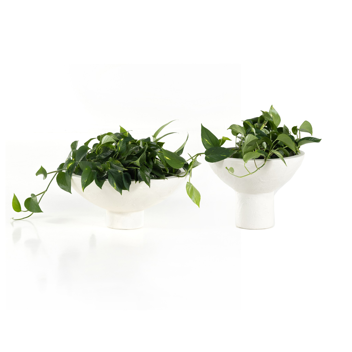 #color_plaster-molded-concrete