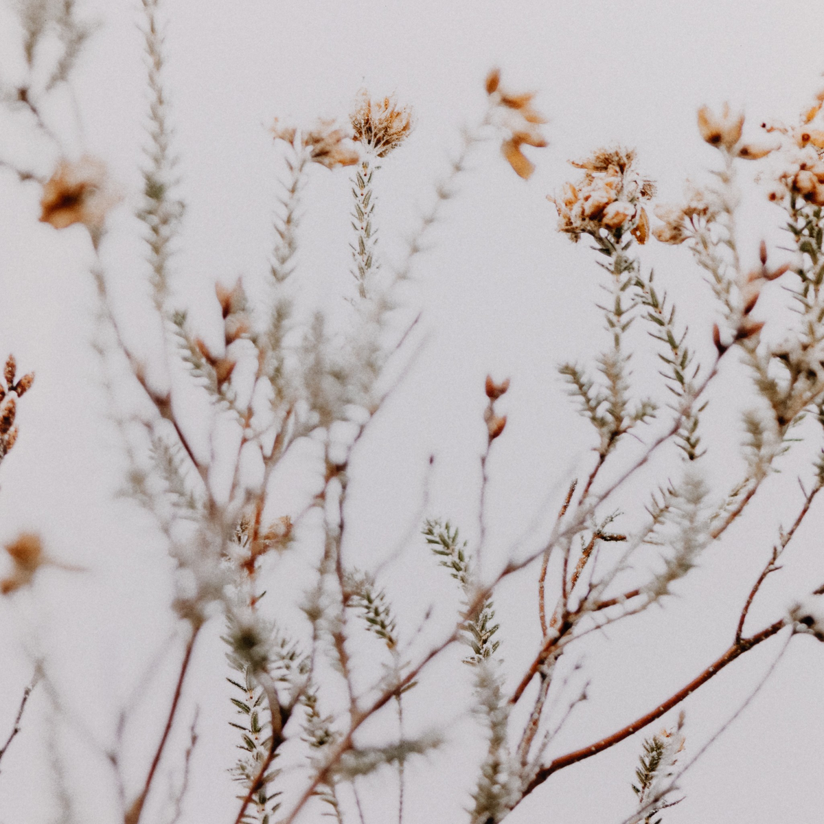 In The Details I By Annie Spratt by Four Hands