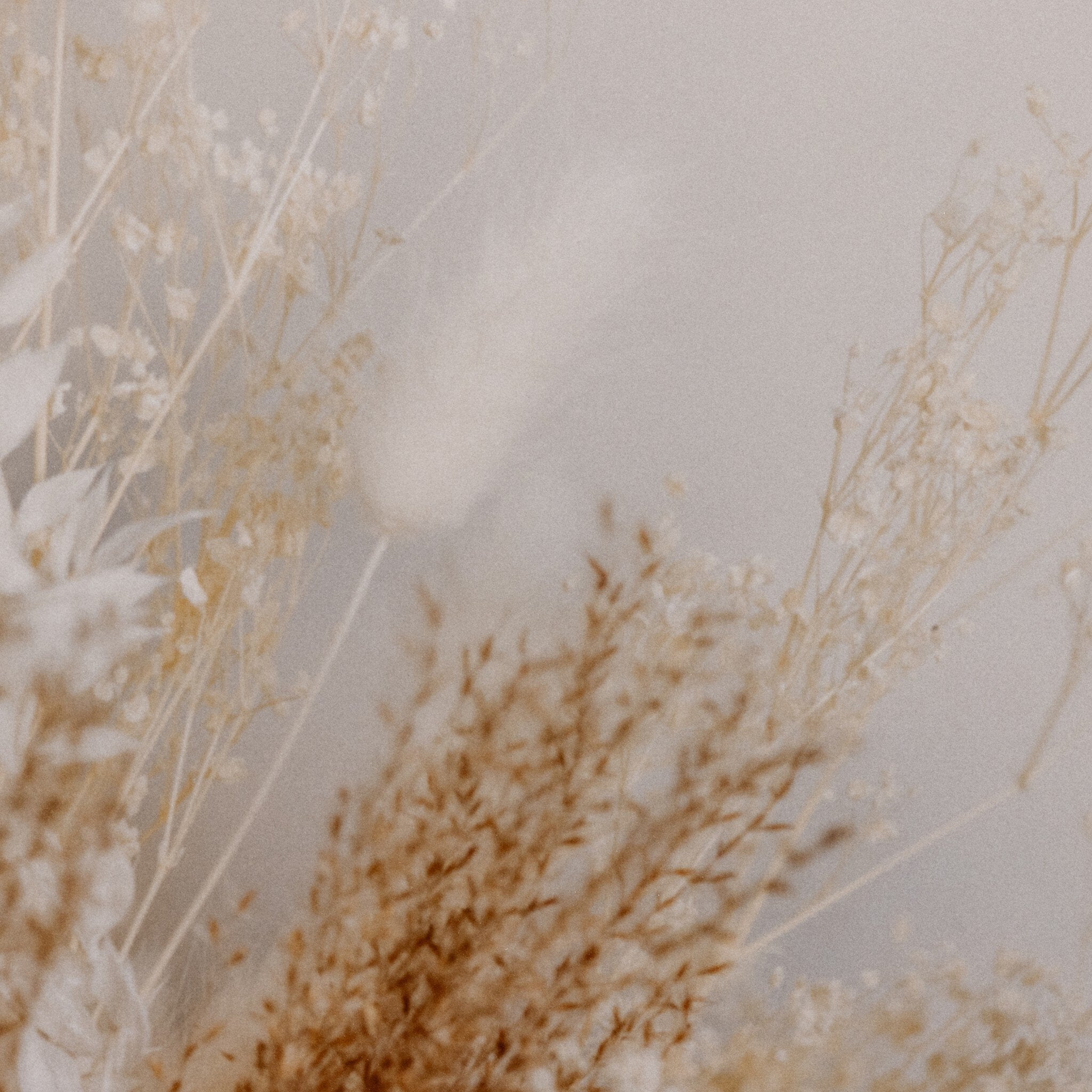 Dried Floral Diptych By Annie Spratt