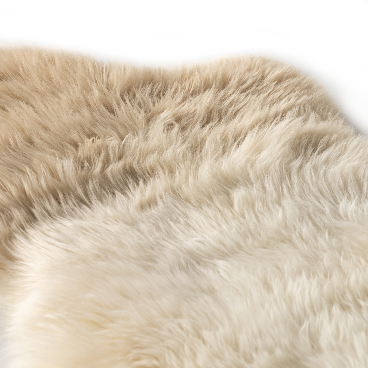 Lalo Ombre Throw by Four Hands