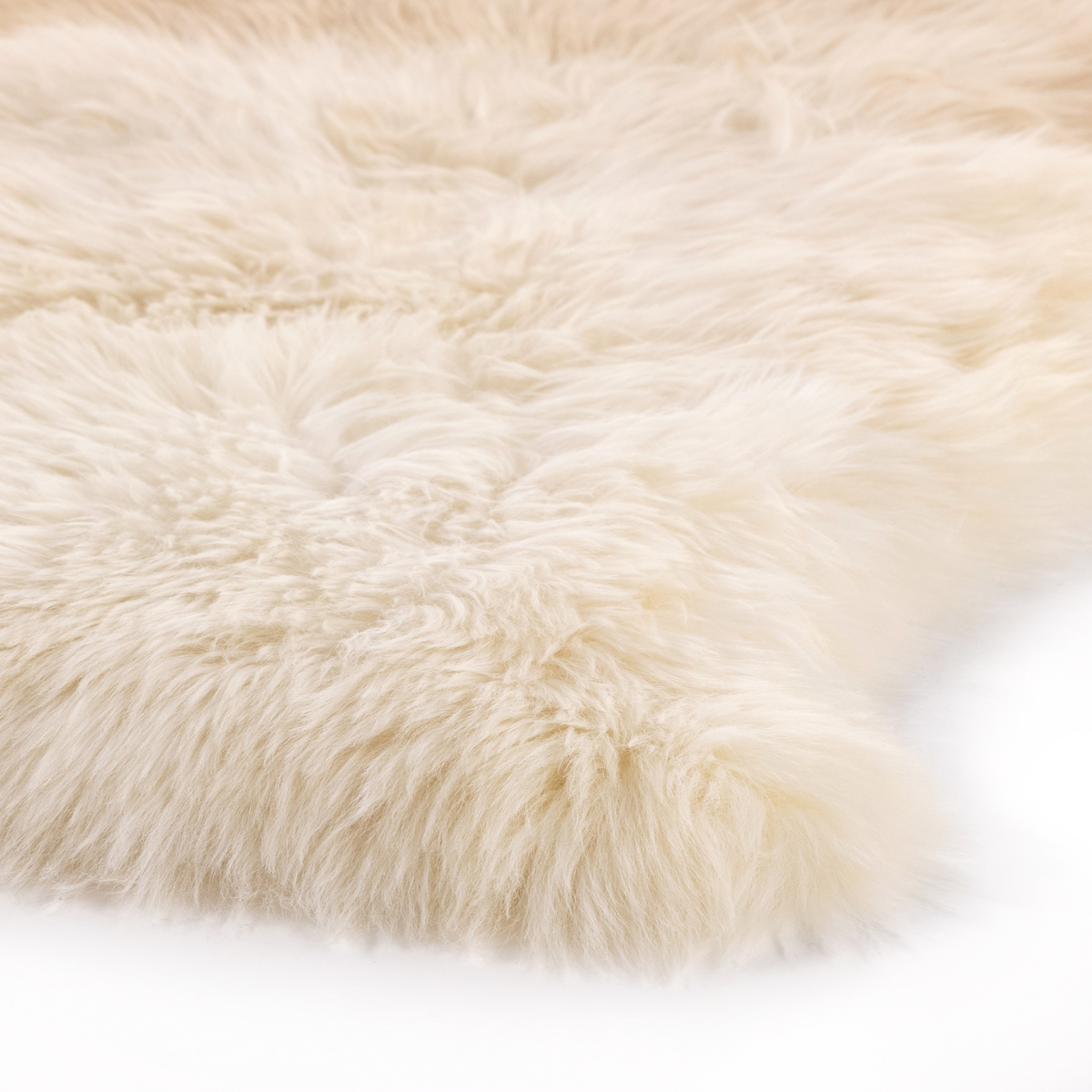 Lalo Ombre Throw by Four Hands