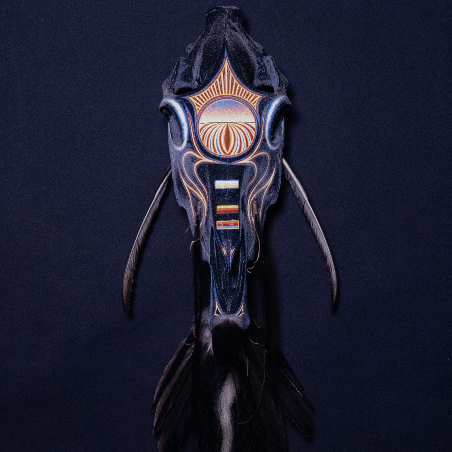 Black Horse Running By Boyd Elder