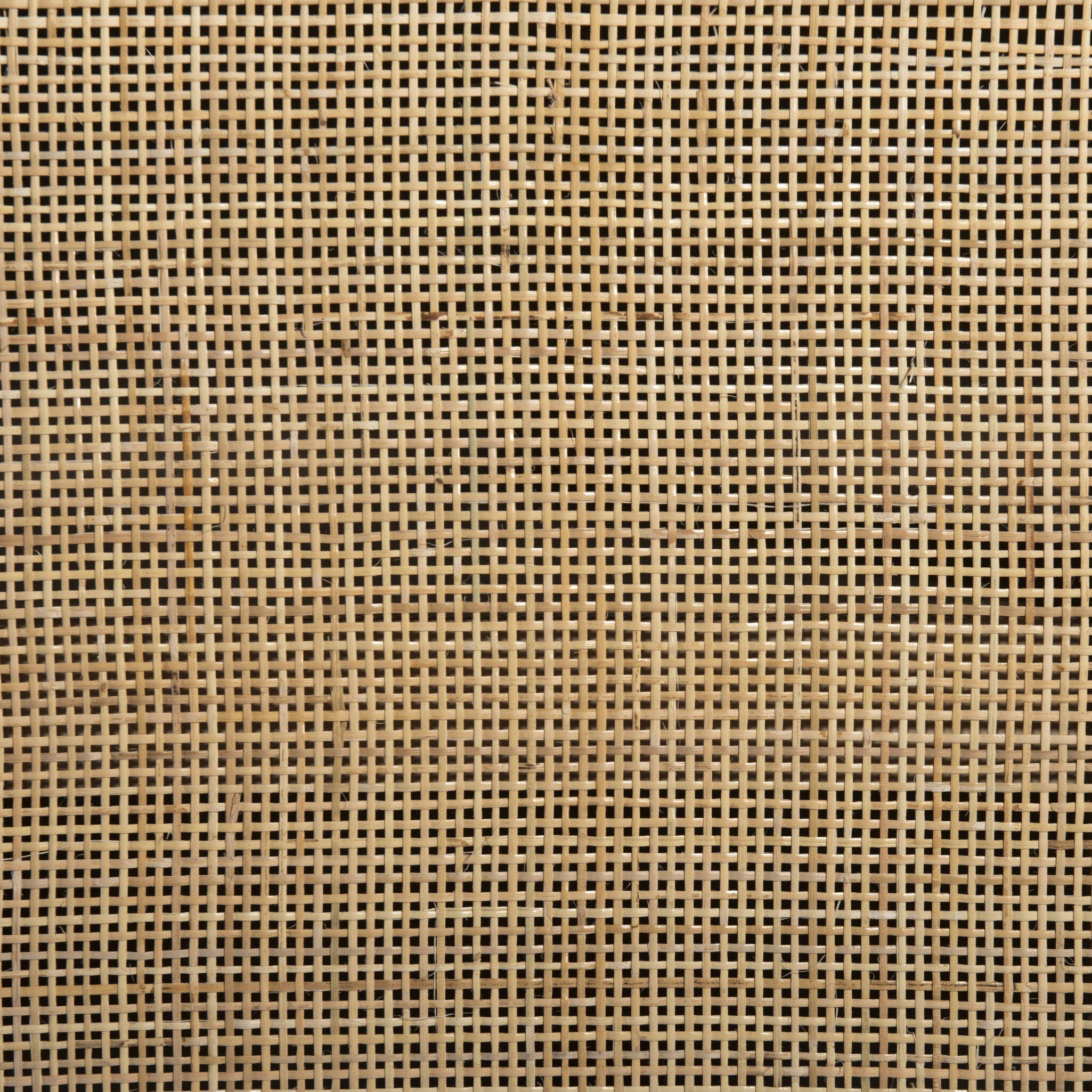 Caprice Wide Bookshelf