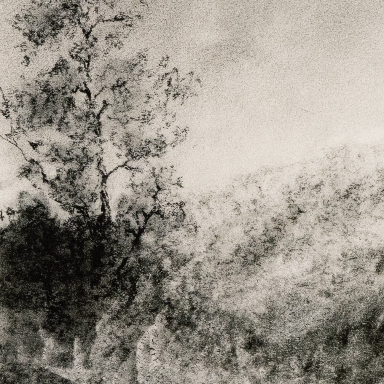 Landscape Study I By Aileen Fitzgerald