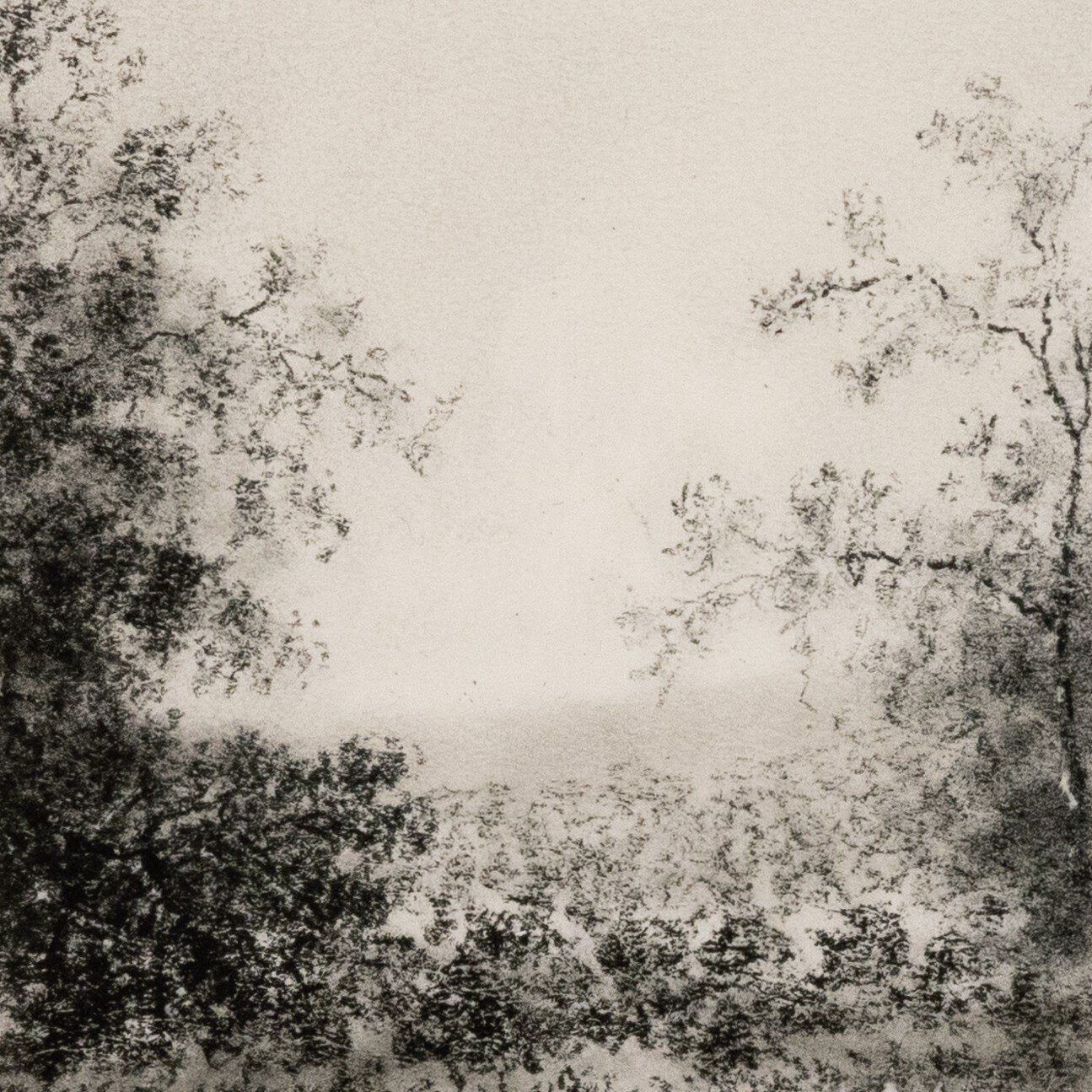 Landscape Study Ii By Aileen Fitzgerald