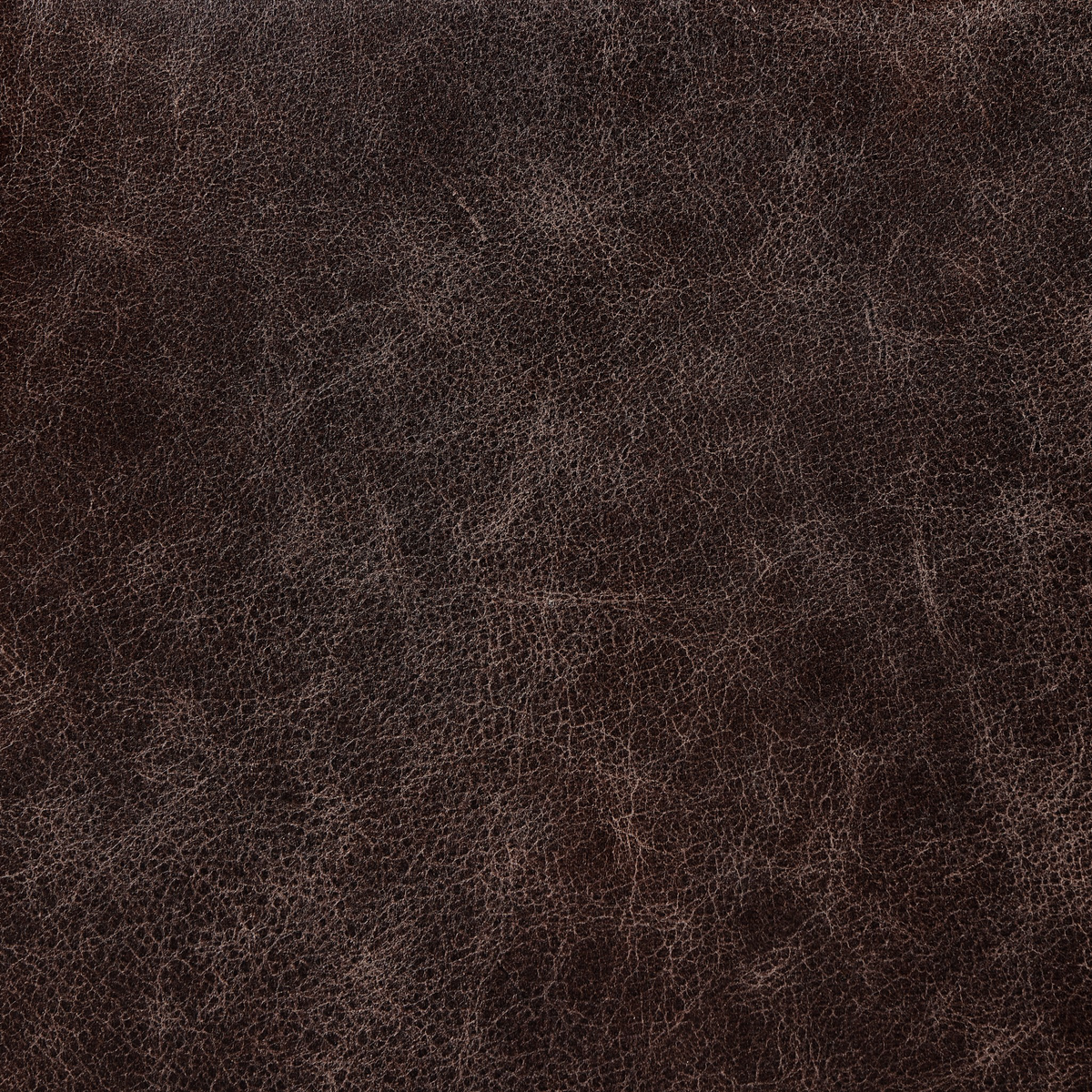 #color_conroe-cigar