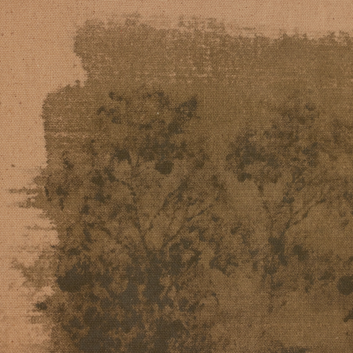 #color_rustic-2.5-walnut