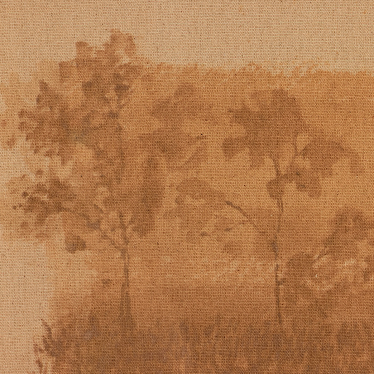 #color_rustic-2.5-walnut