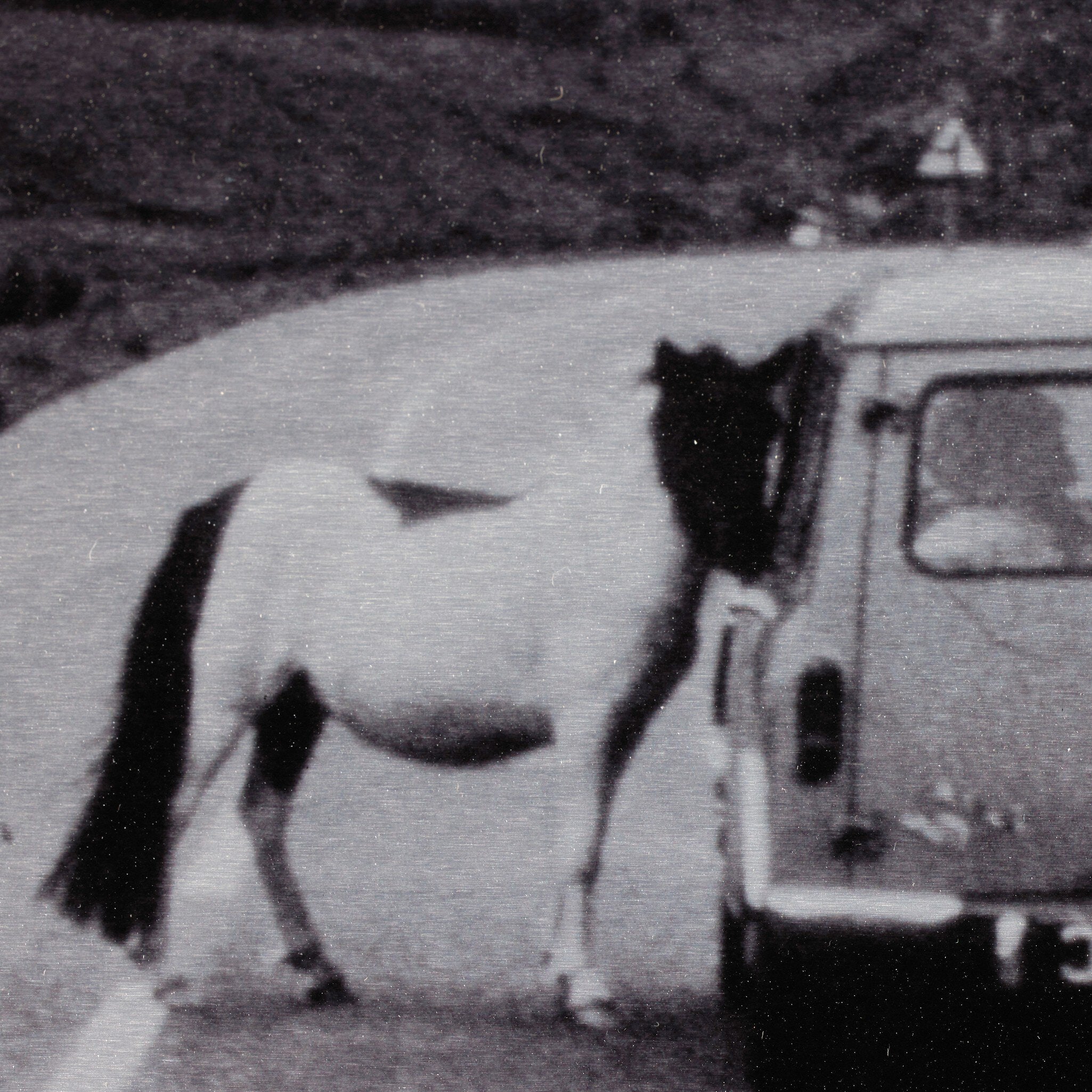 On The Road Iii By Annie Spratt