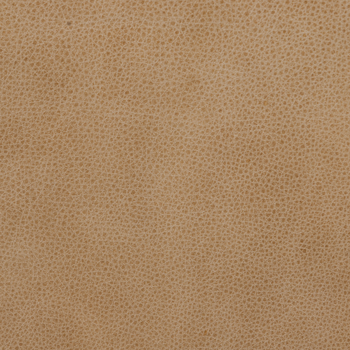 #color_palermo-drift