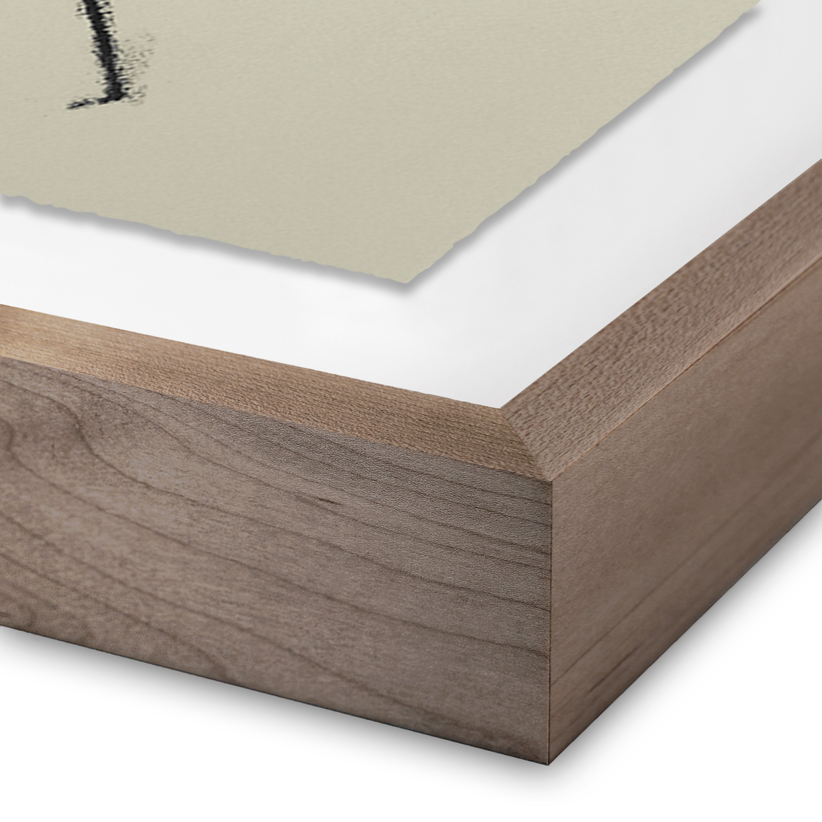 Rubbings 5 By Fox Studios by Four Hands