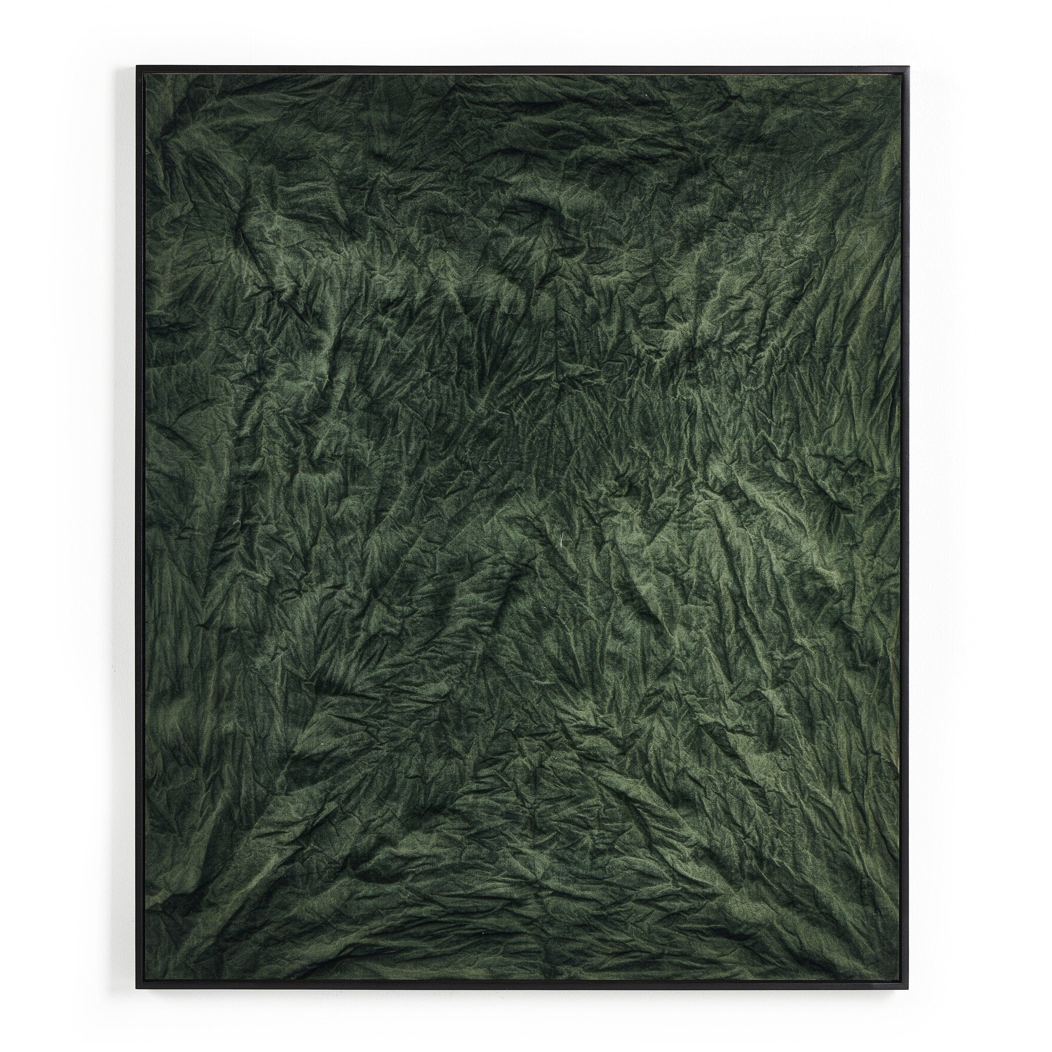 River Of Grass By Molly Franken
