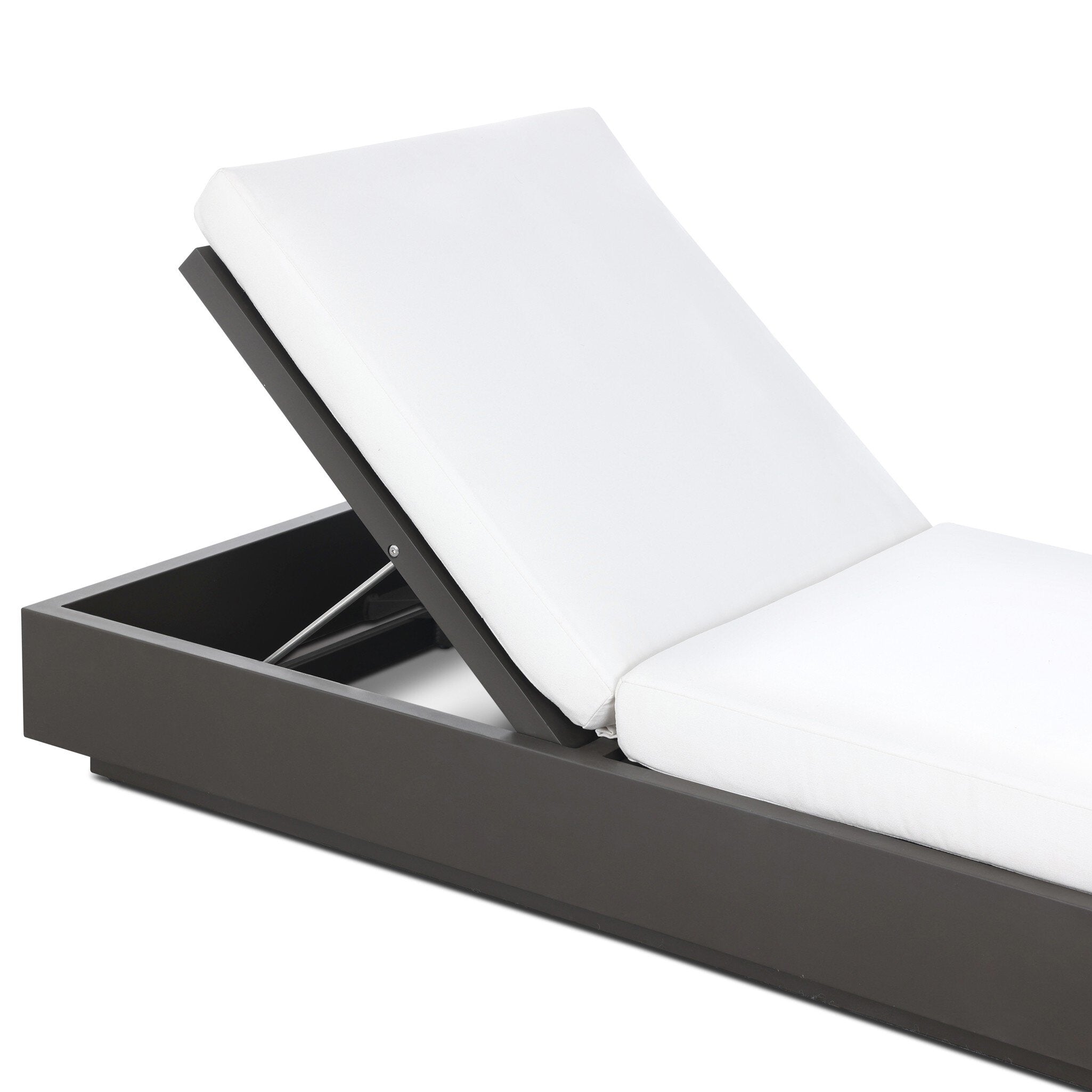 Katari Outdoor Chaise Lounge