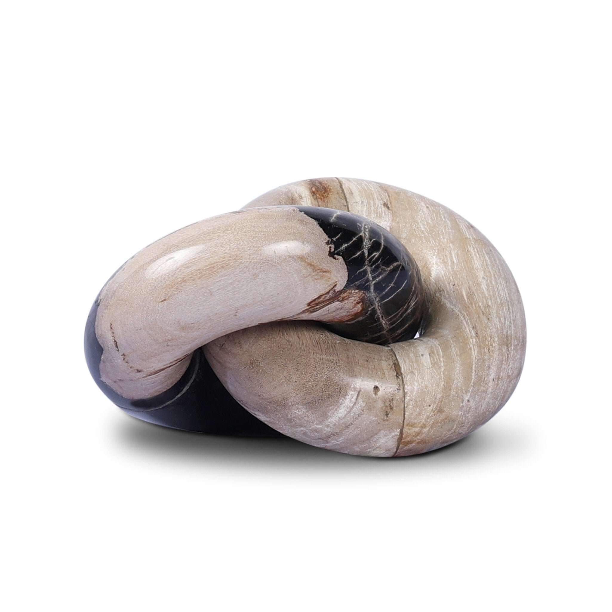 Petrified Wood Knot