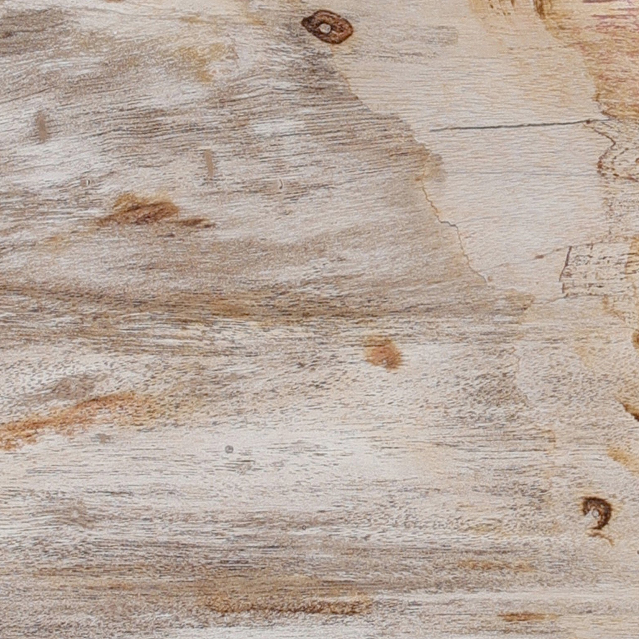 Petrified Wood Knot