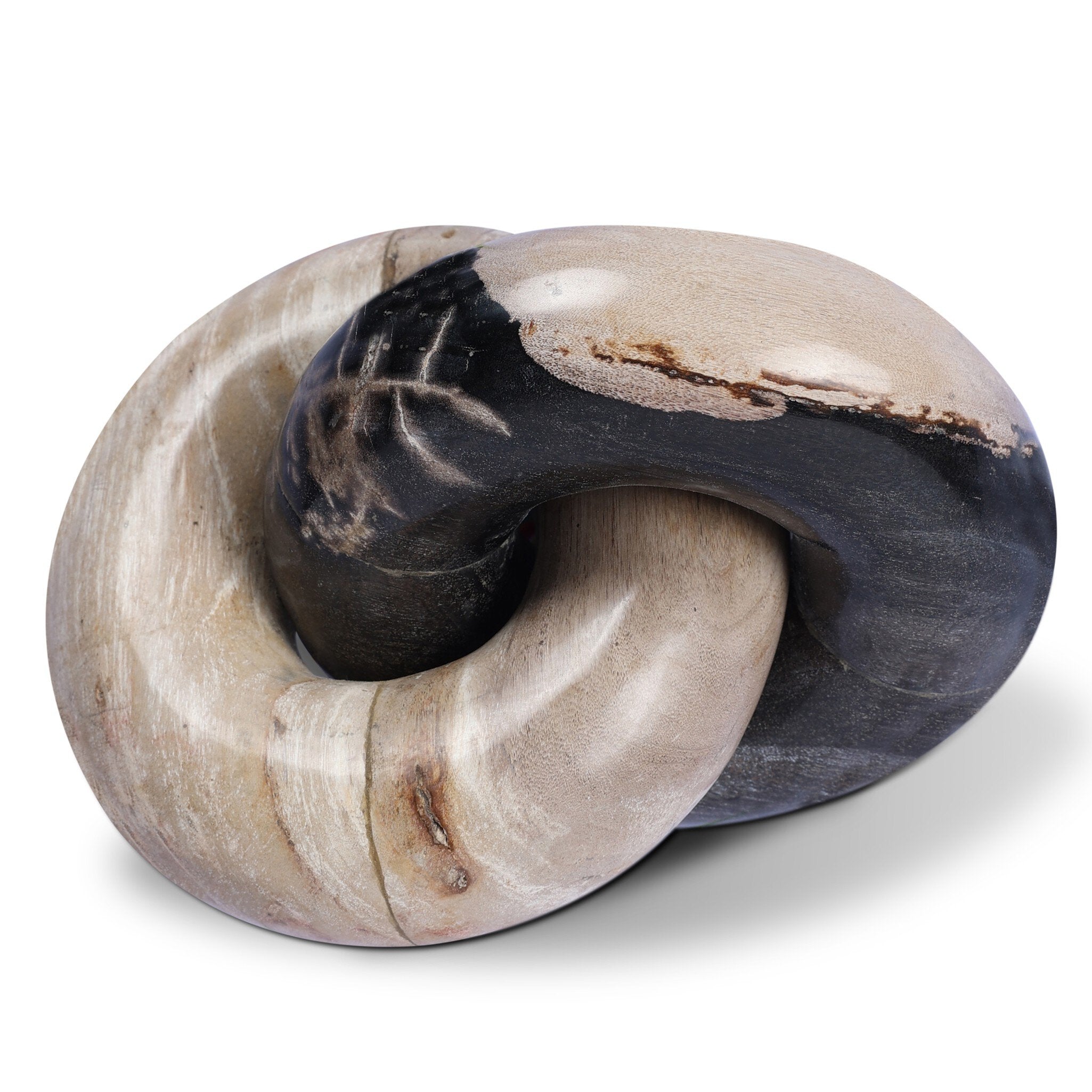 Petrified Wood Knot