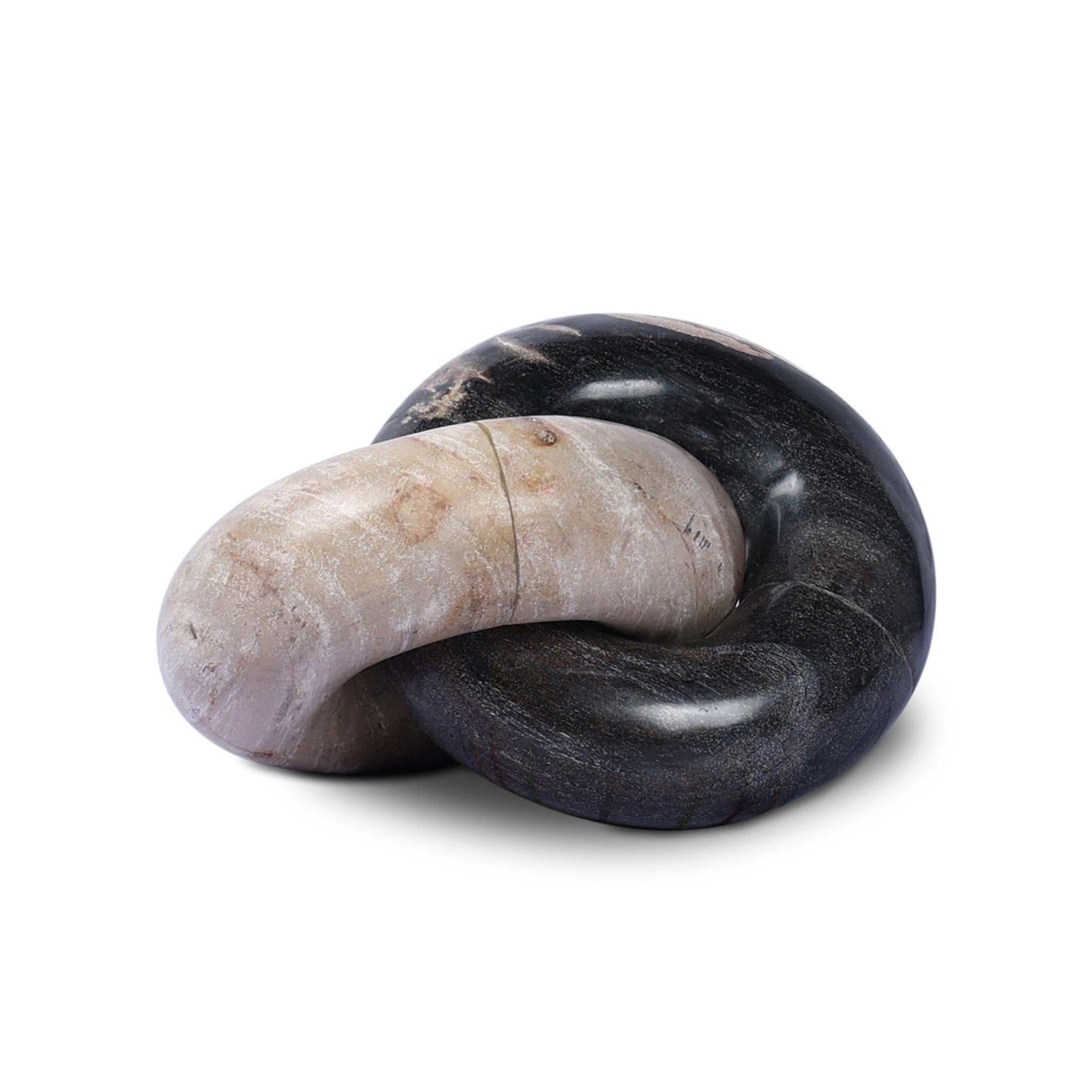 Petrified Wood Knot