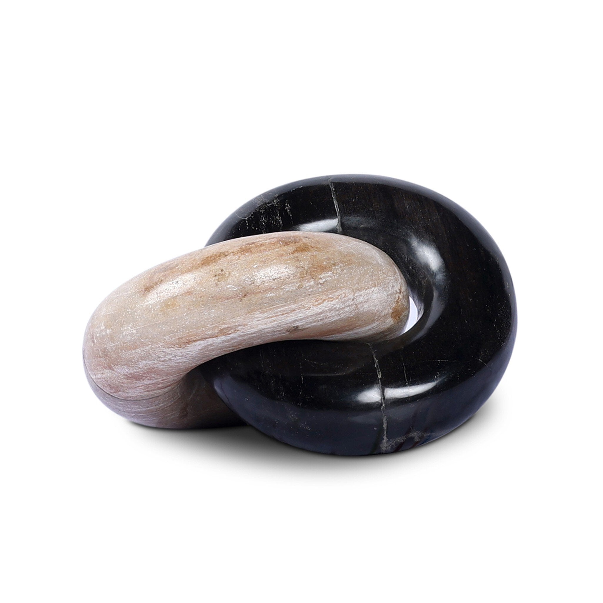 Petrified Wood Knot