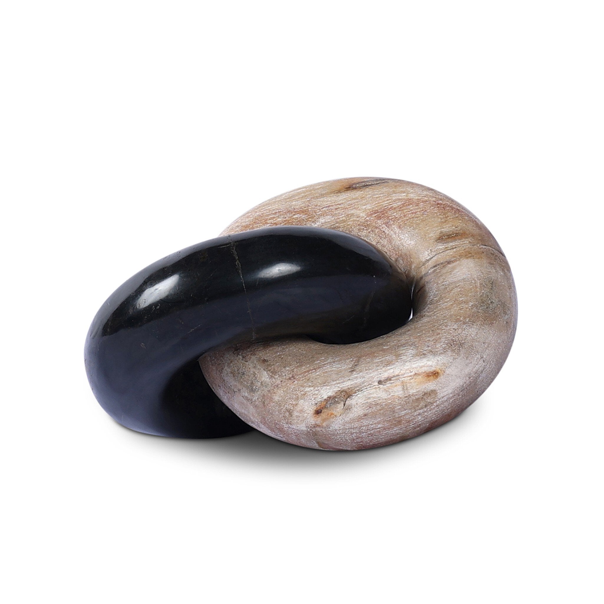 Petrified Wood Knot