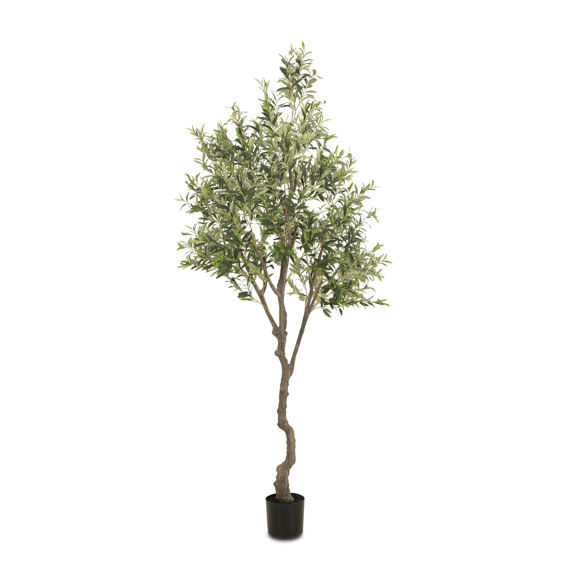#color_faux-olive-tree
