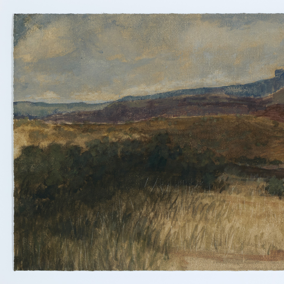 Desert Hues I By Aileen Fitzgerald by Four Hands