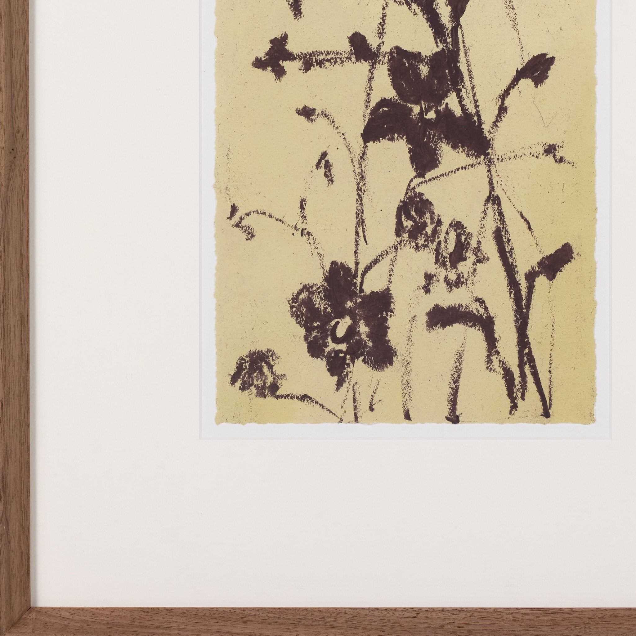 Meadow Rue Set By Shaina Page