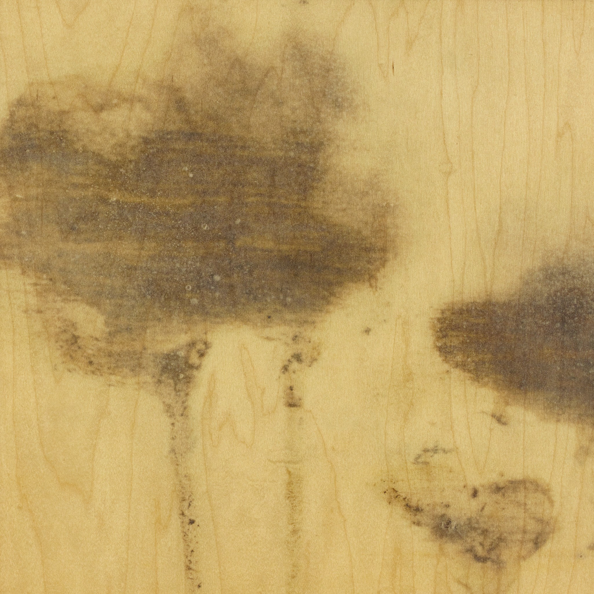 Lutare Diptych By Kelly Rogers by Four Hands