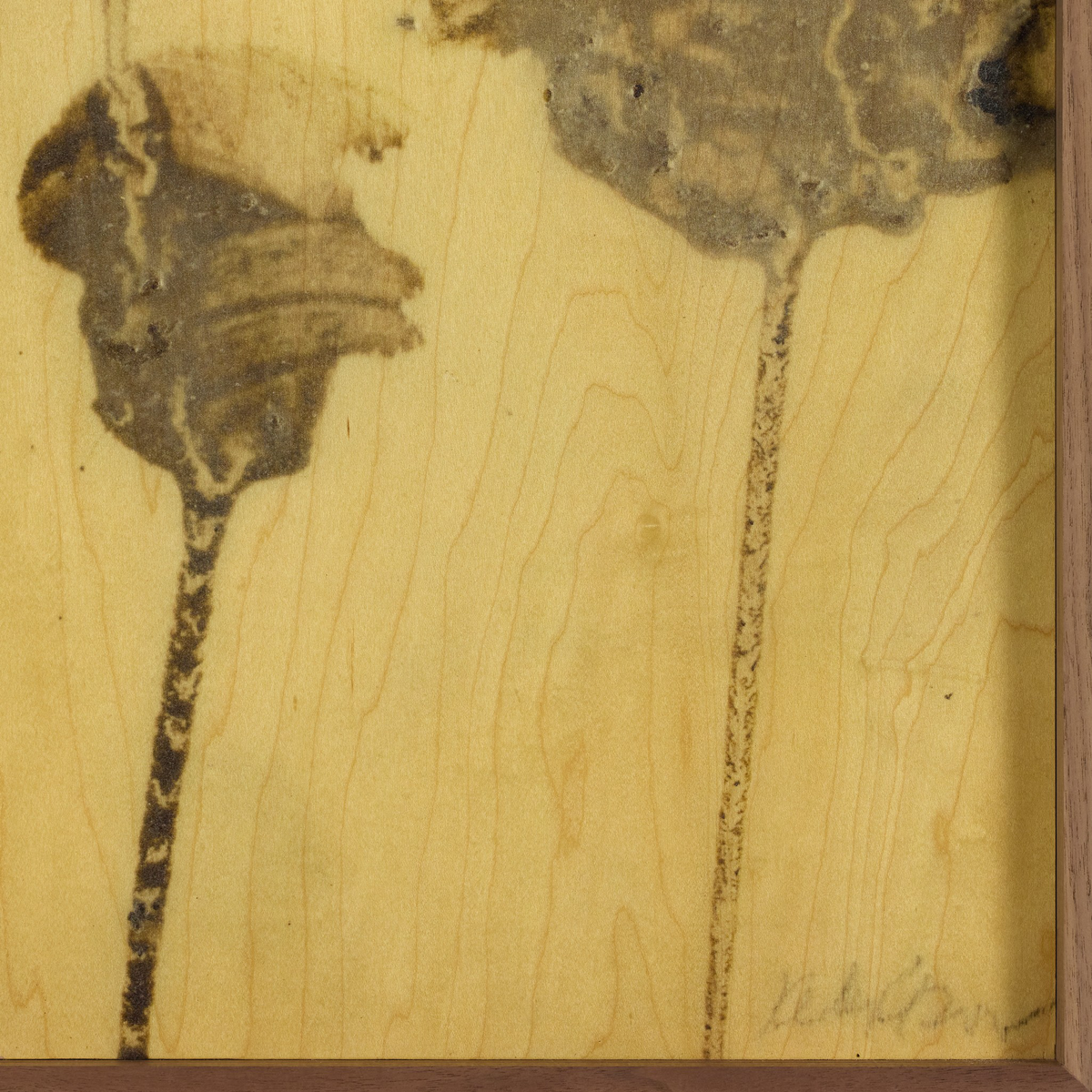 Lutare Diptych By Kelly Rogers by Four Hands