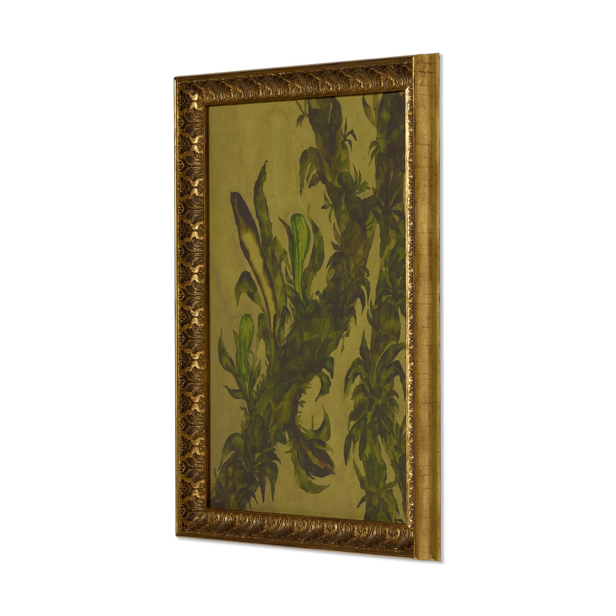 Epiphytes By Molly Franken by Four Hands