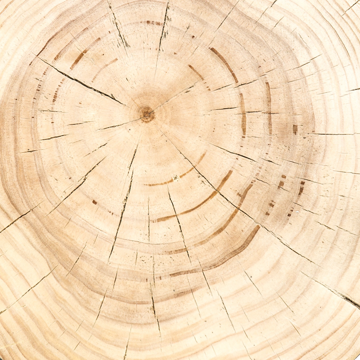 #color_natural-pine