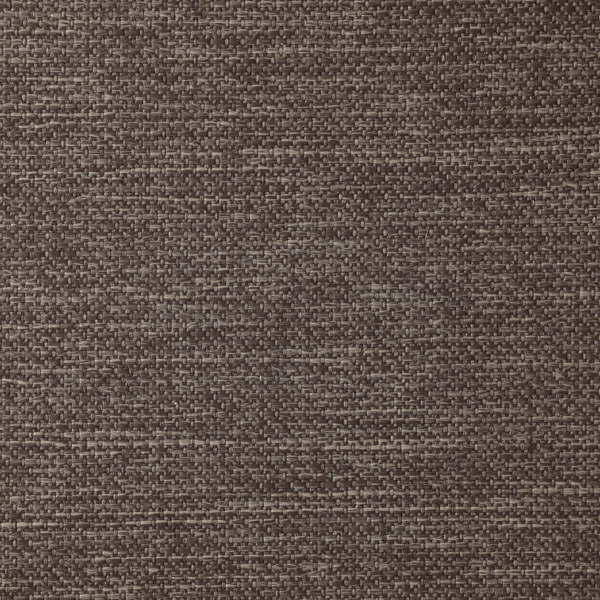 #color_ellor-brown