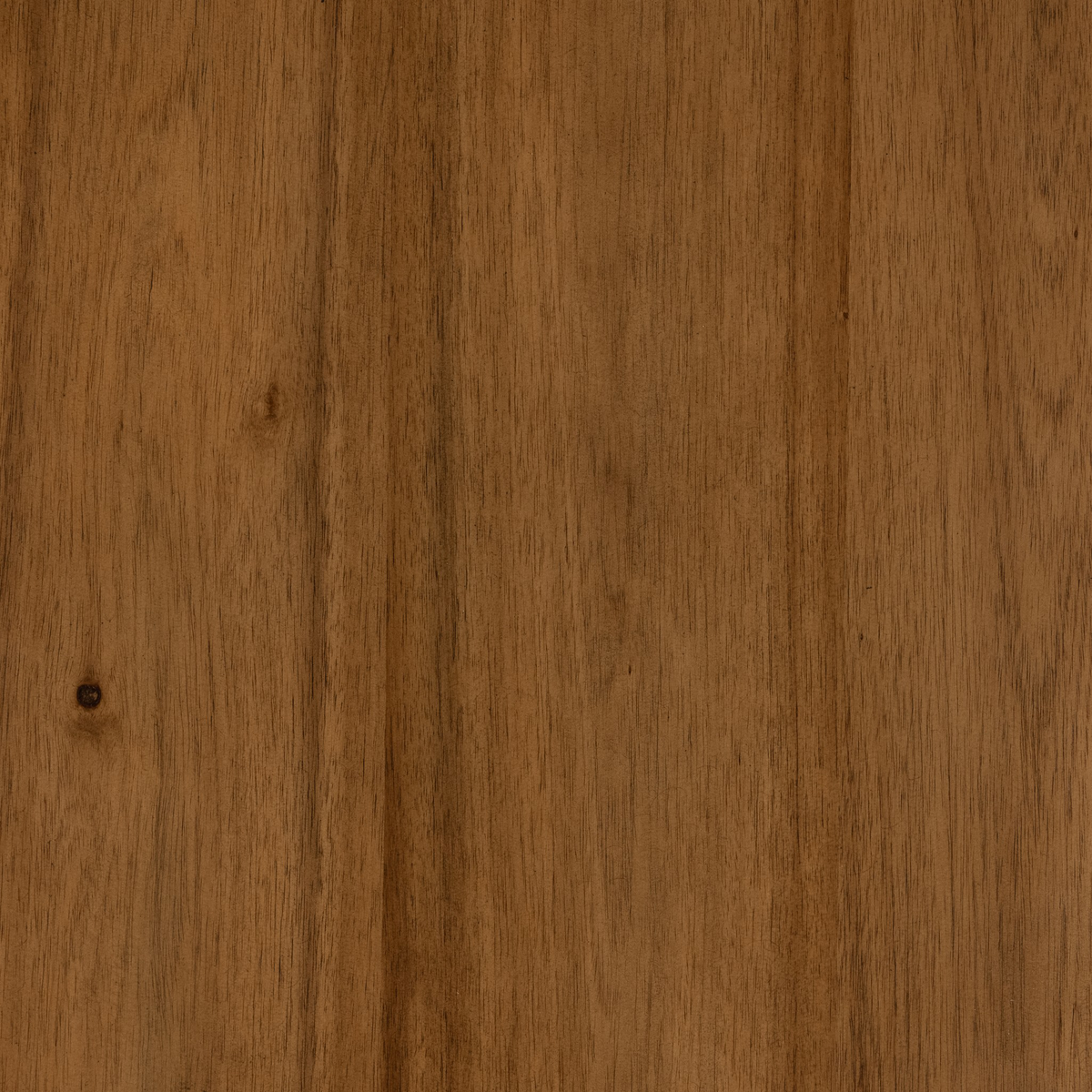 #color_sandy-acacia